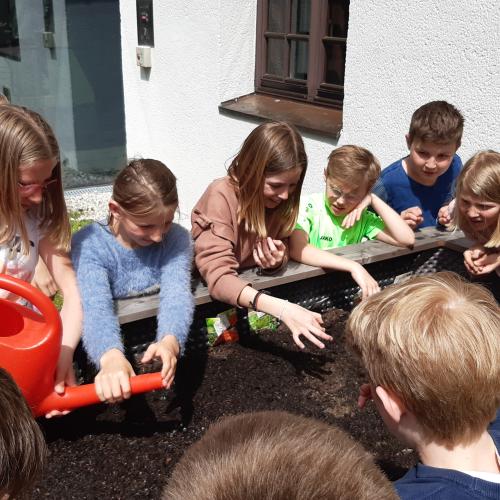 Kräuter und Gemüse anbauen