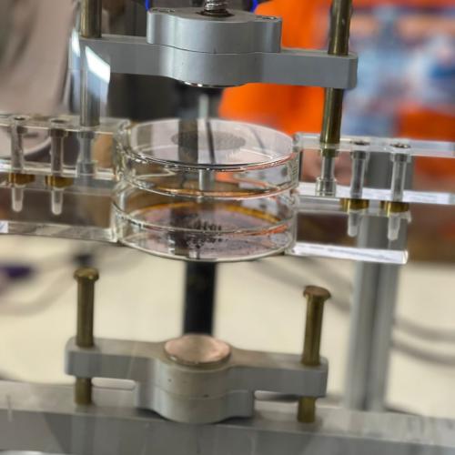 Tag der Physik in Innsbruck