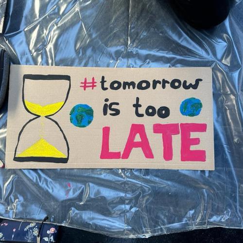 Fridays-For-Future