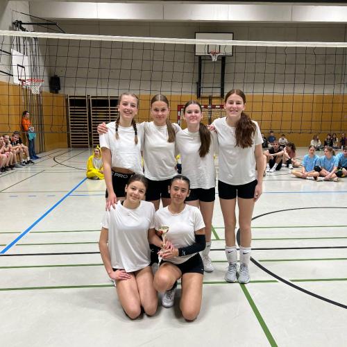 Volleyballturnier