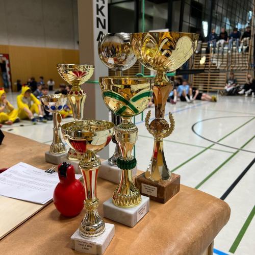 Volleyballturnier