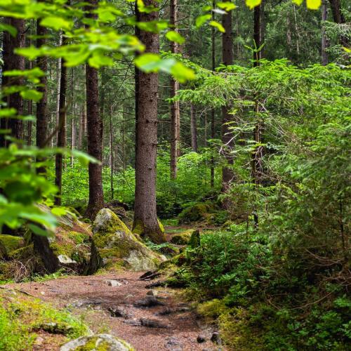 Projektwoche Ötztal