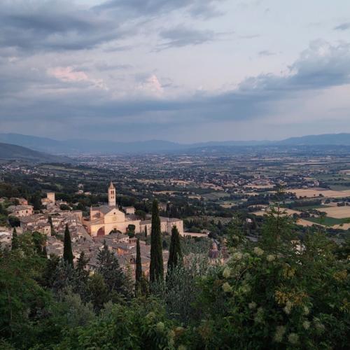 Assisi