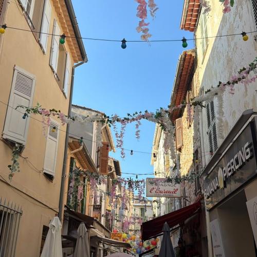 Nizza2